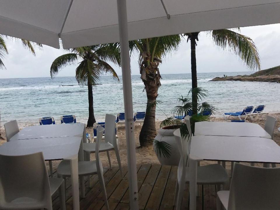 Appartement Proche De La Mer Ty Manganao Saint-Francois  Eksteriør billede