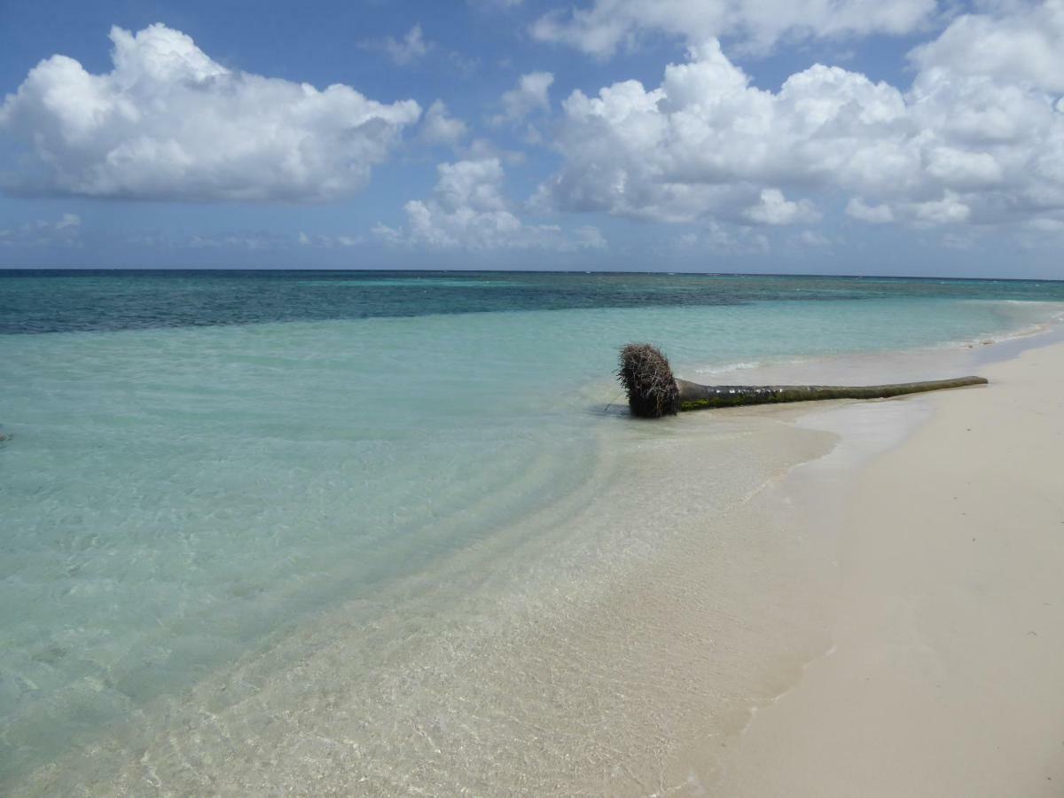 Appartement Proche De La Mer Ty Manganao Saint-Francois  Eksteriør billede